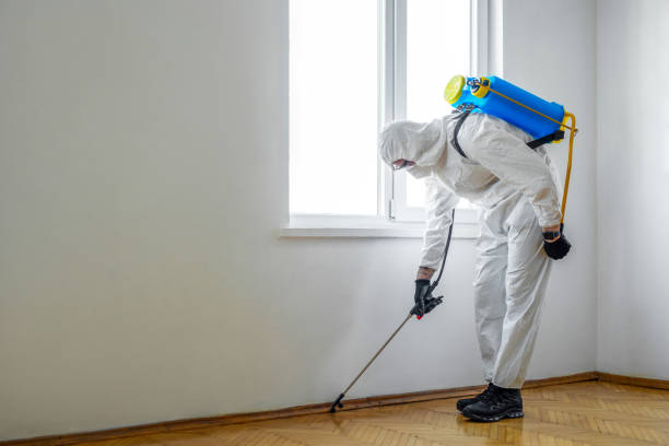 Best Commercial Pest Control Services  in Blissfield, MI
