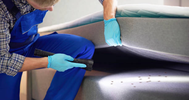 Best Mosquito Control Services  in Blissfield, MI