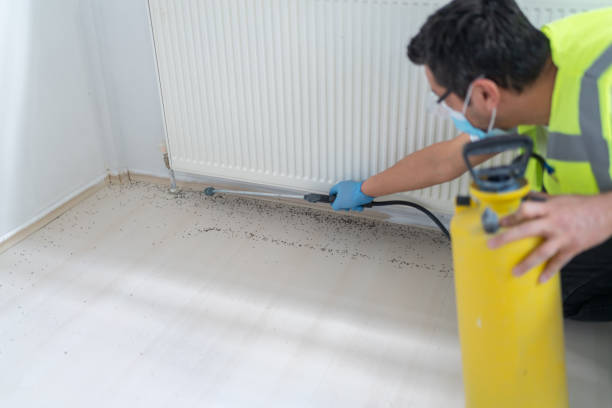 Best Affordable Pest Control Services  in Blissfield, MI